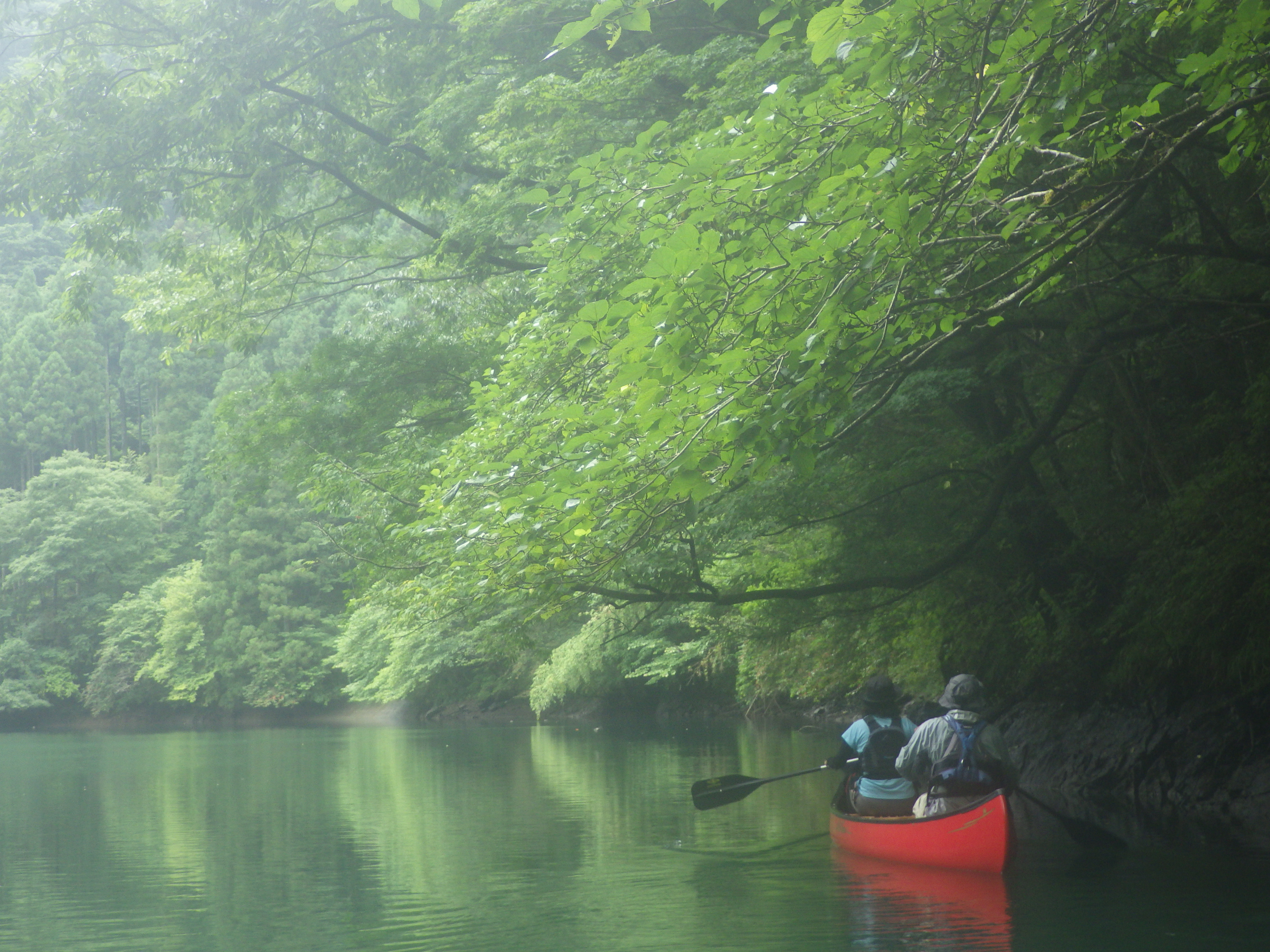 カヌー.奥多摩.白丸湖.すその.susono.okutama.canoe.