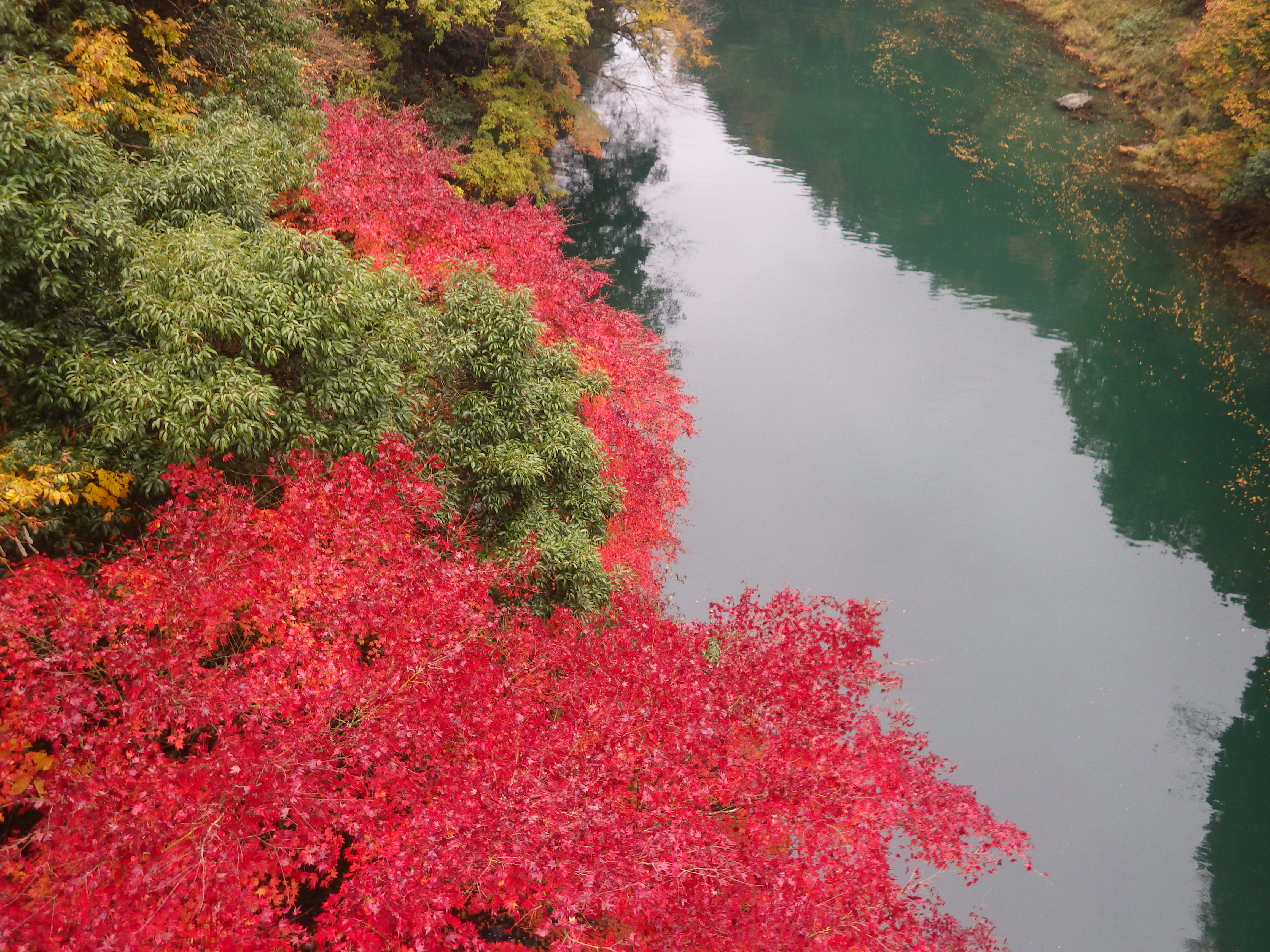 奥多摩紅葉,奥多摩カヌー,東京奥多摩