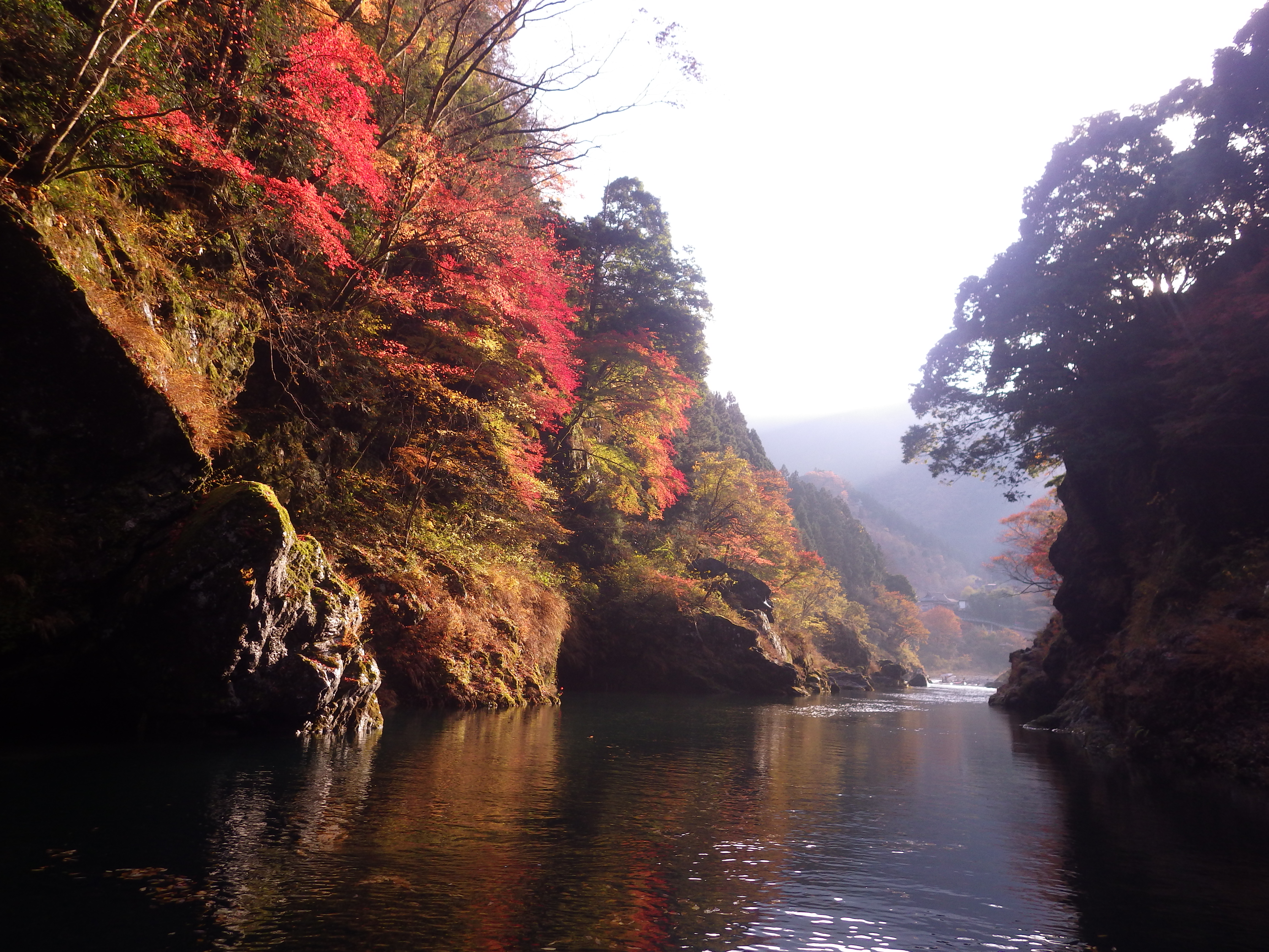 奥多摩紅葉,奥多摩カヌー,ワンコカヌー,okutamacanoe,奥多摩アウトドア