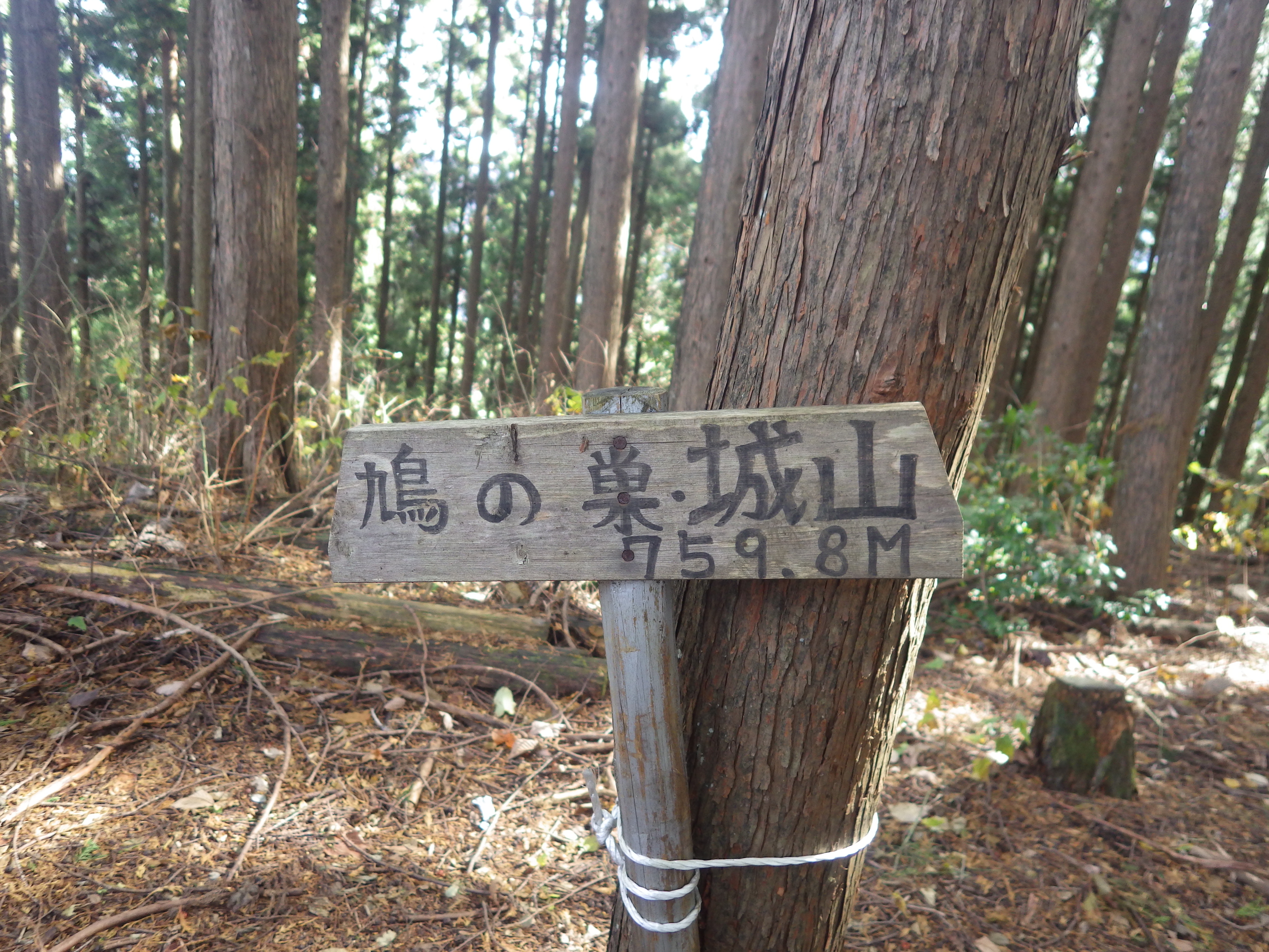 奥多摩城山,鳩ノ巣城山,御岳山,okutamamitake,tokyookutama