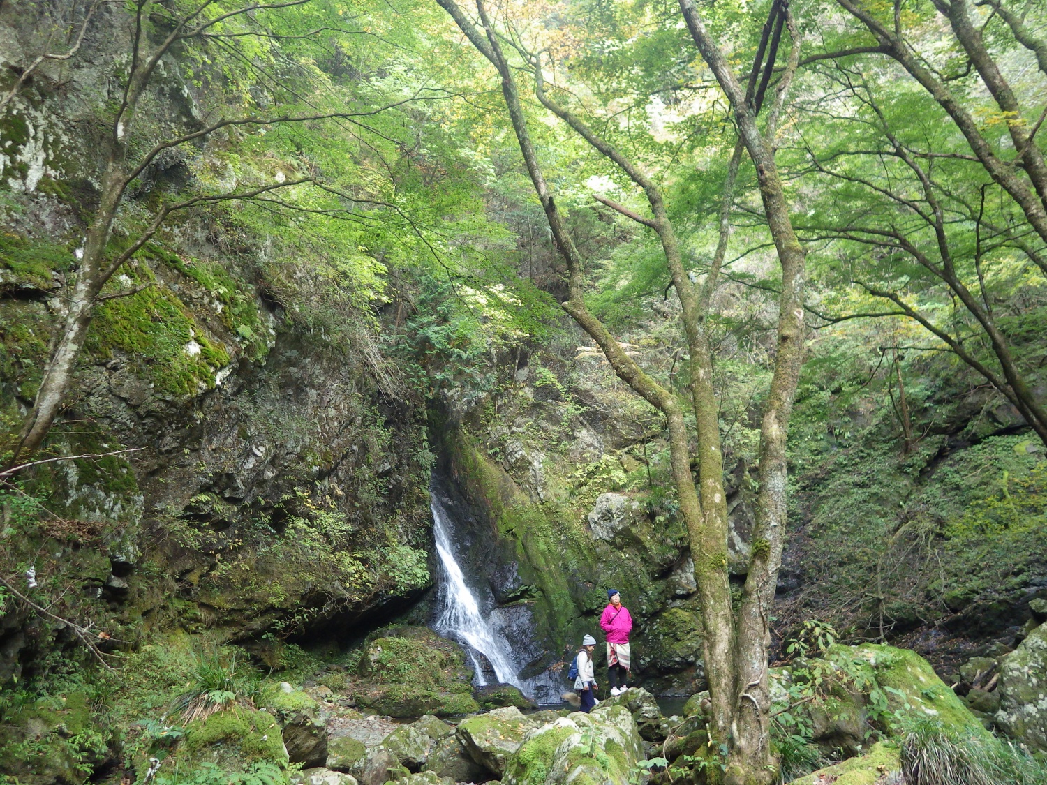 奥多摩.海澤.三つ釜の滝.ハイキング.okutama.hiking.