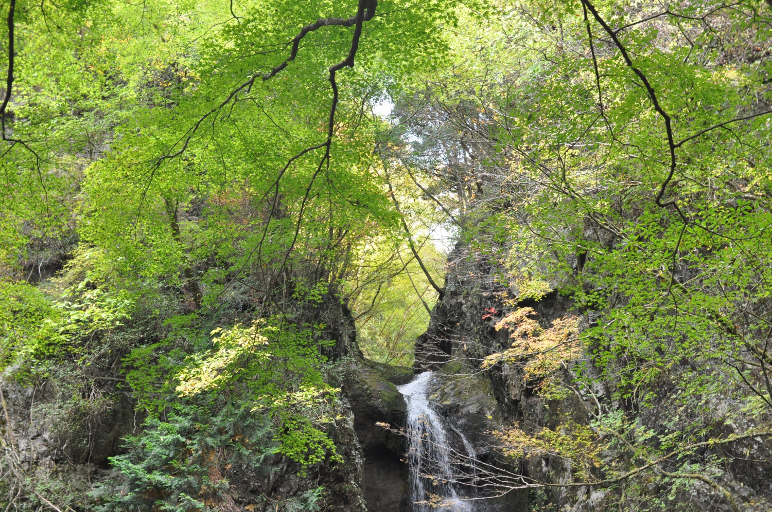 奥多摩.海澤.三つ釜の滝.ハイキング.okutama.hiking.