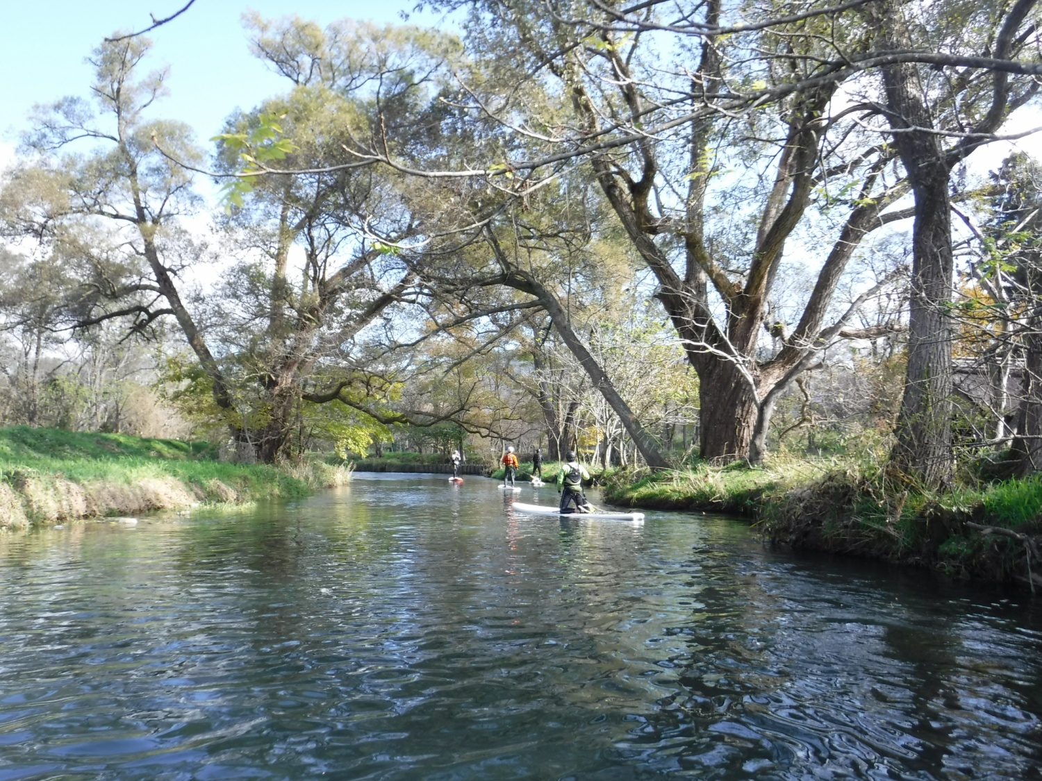 万水川sup,わさび農場