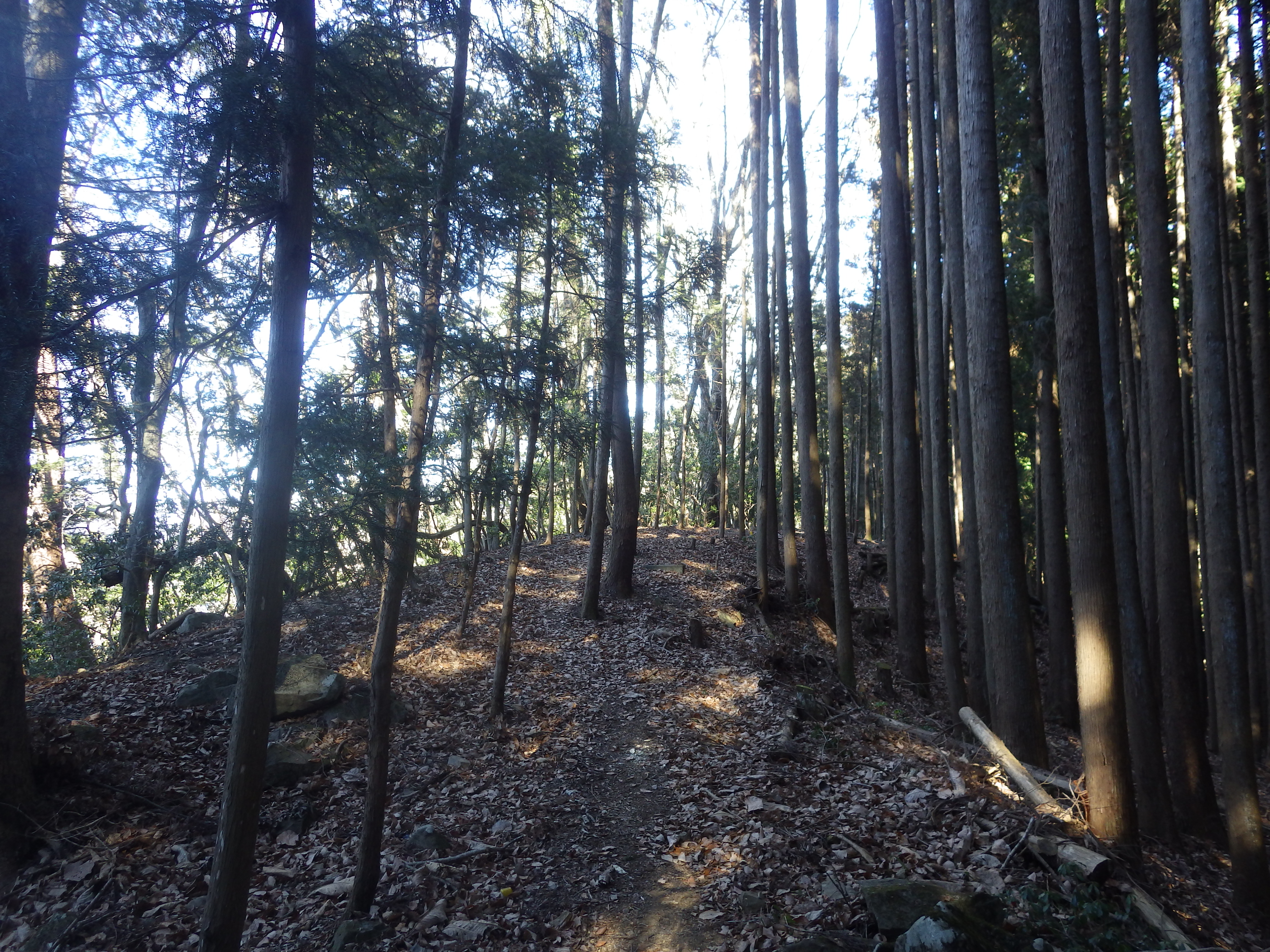 ゴンザス尾根,本仁田山,根岩越え