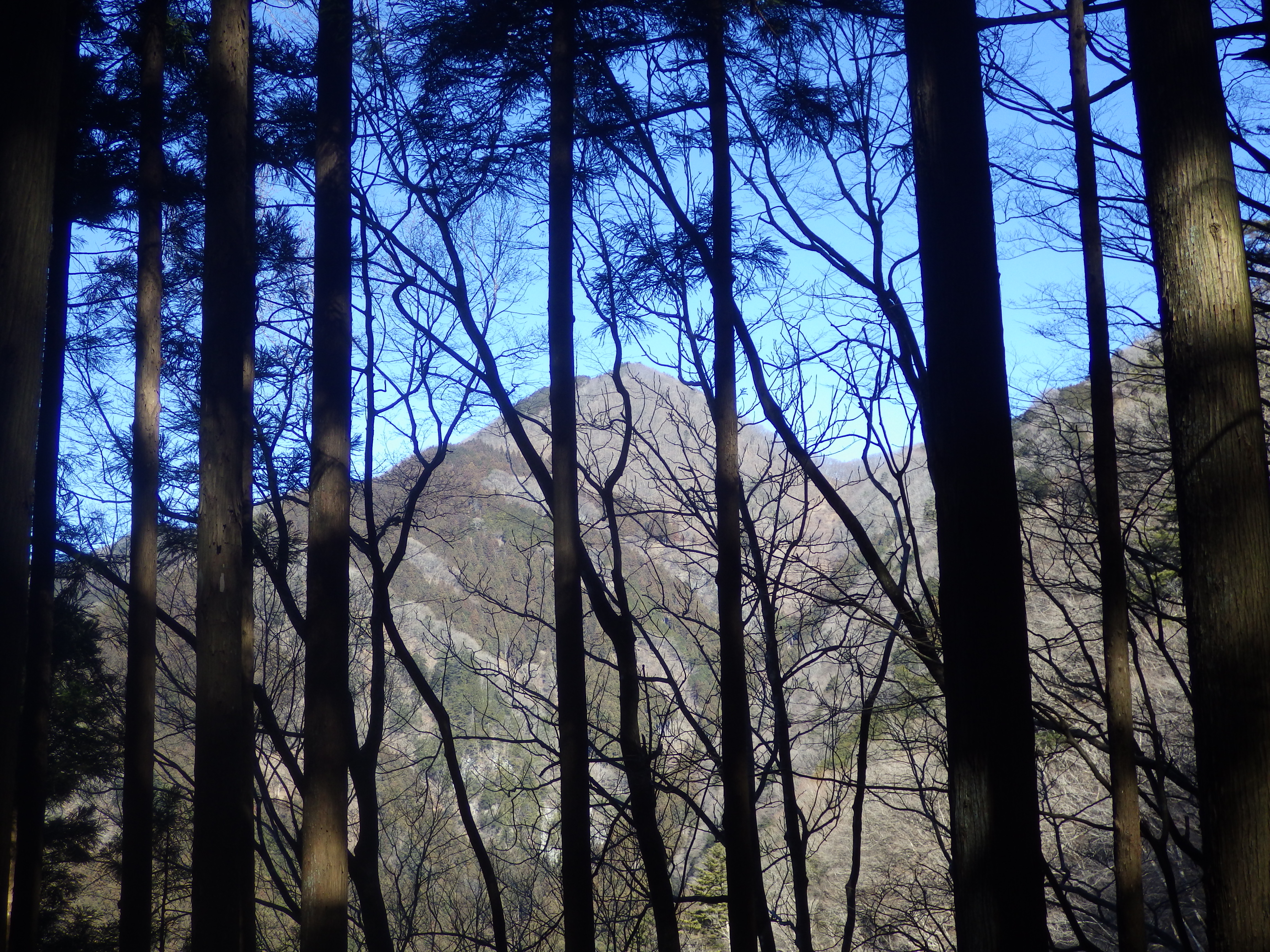 本仁田山,根岩越え