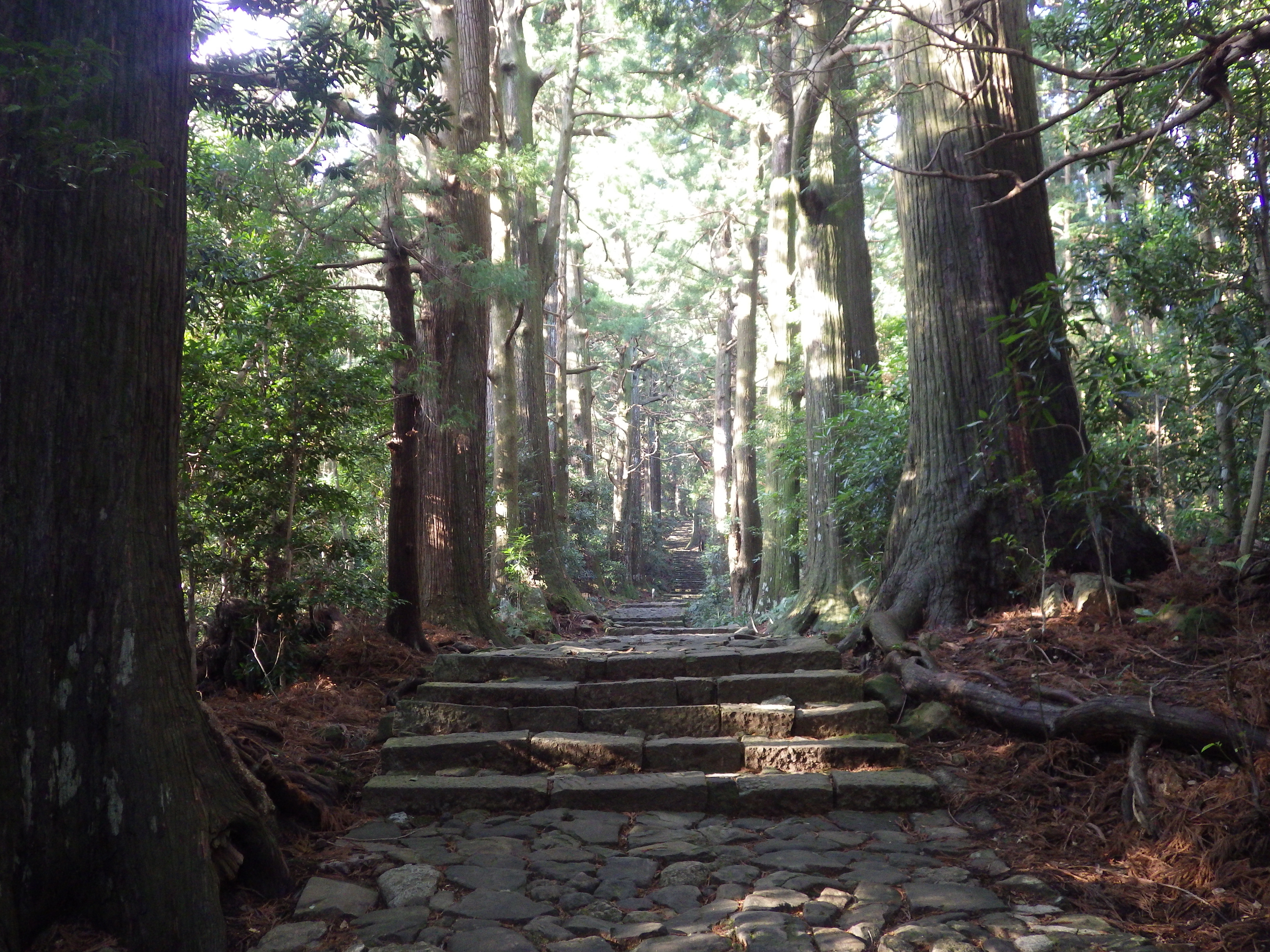 熊野古道