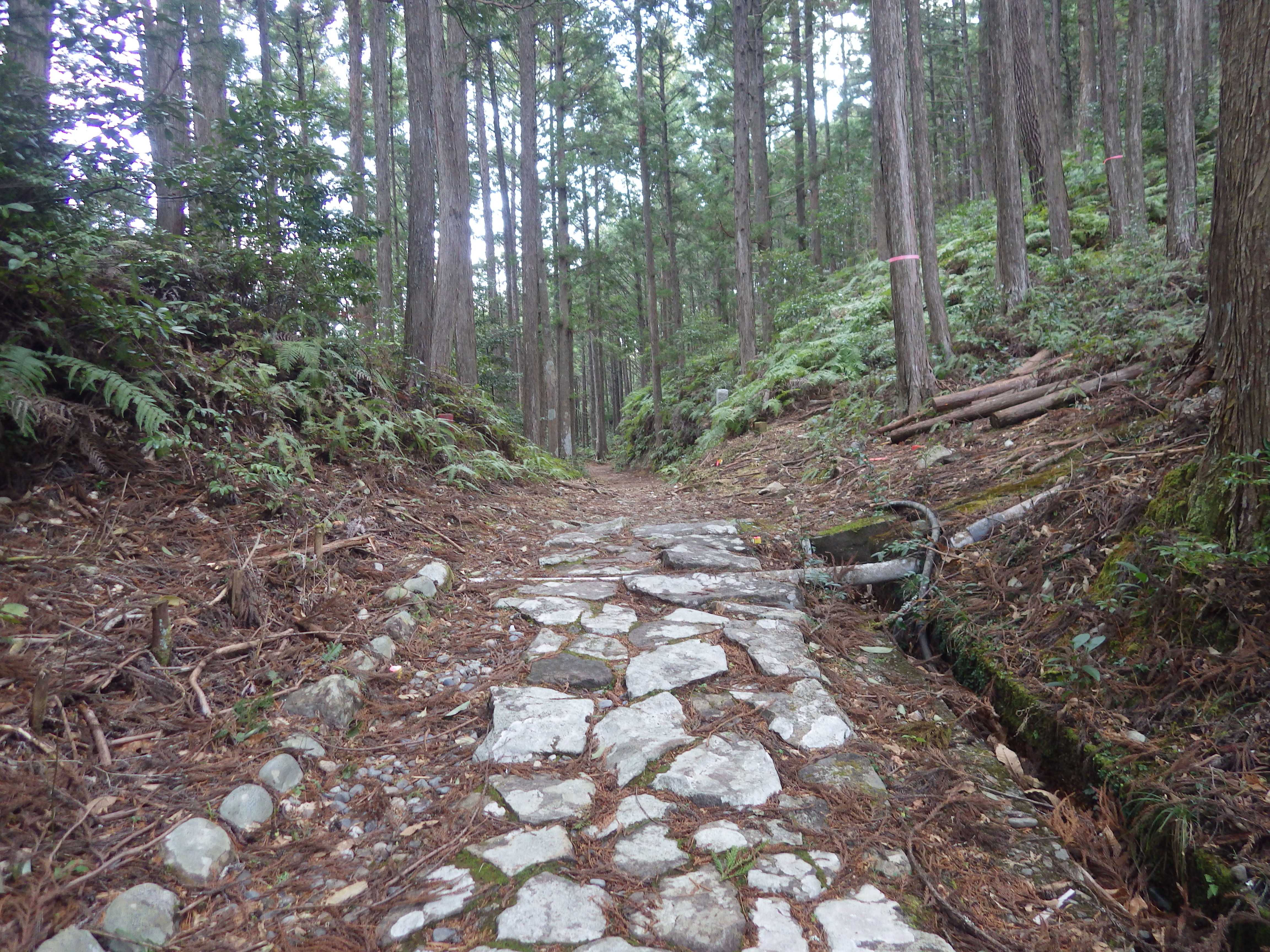 熊野古道