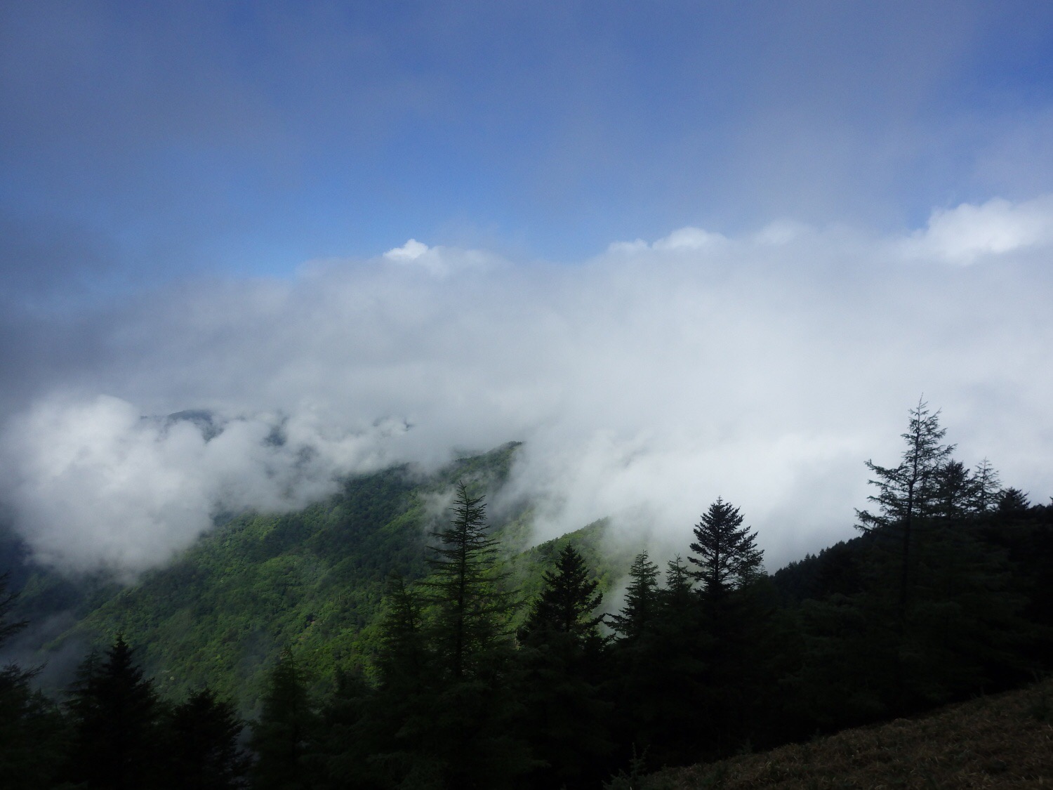 ぼちぼちアドベンチャーすその,雲取山,雲海,outdoor