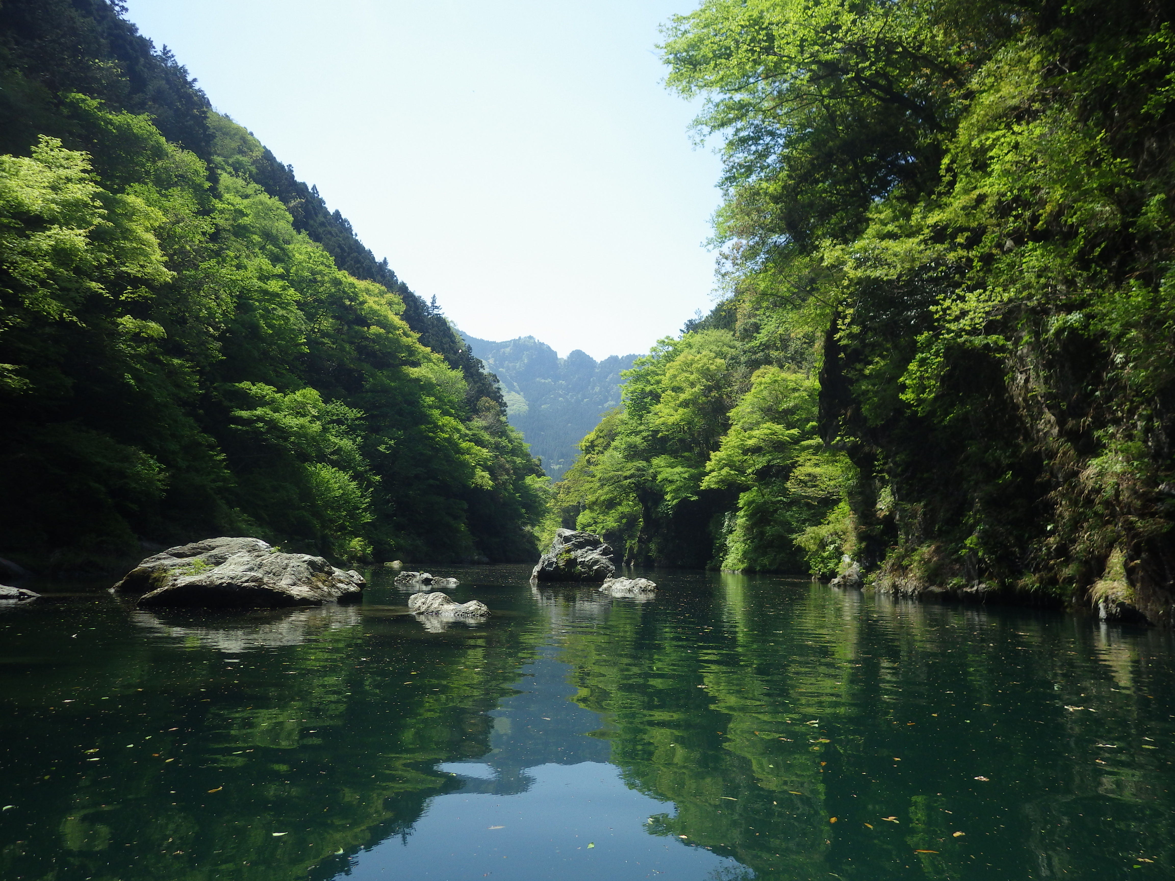 新緑きれい,のんびりカヌー