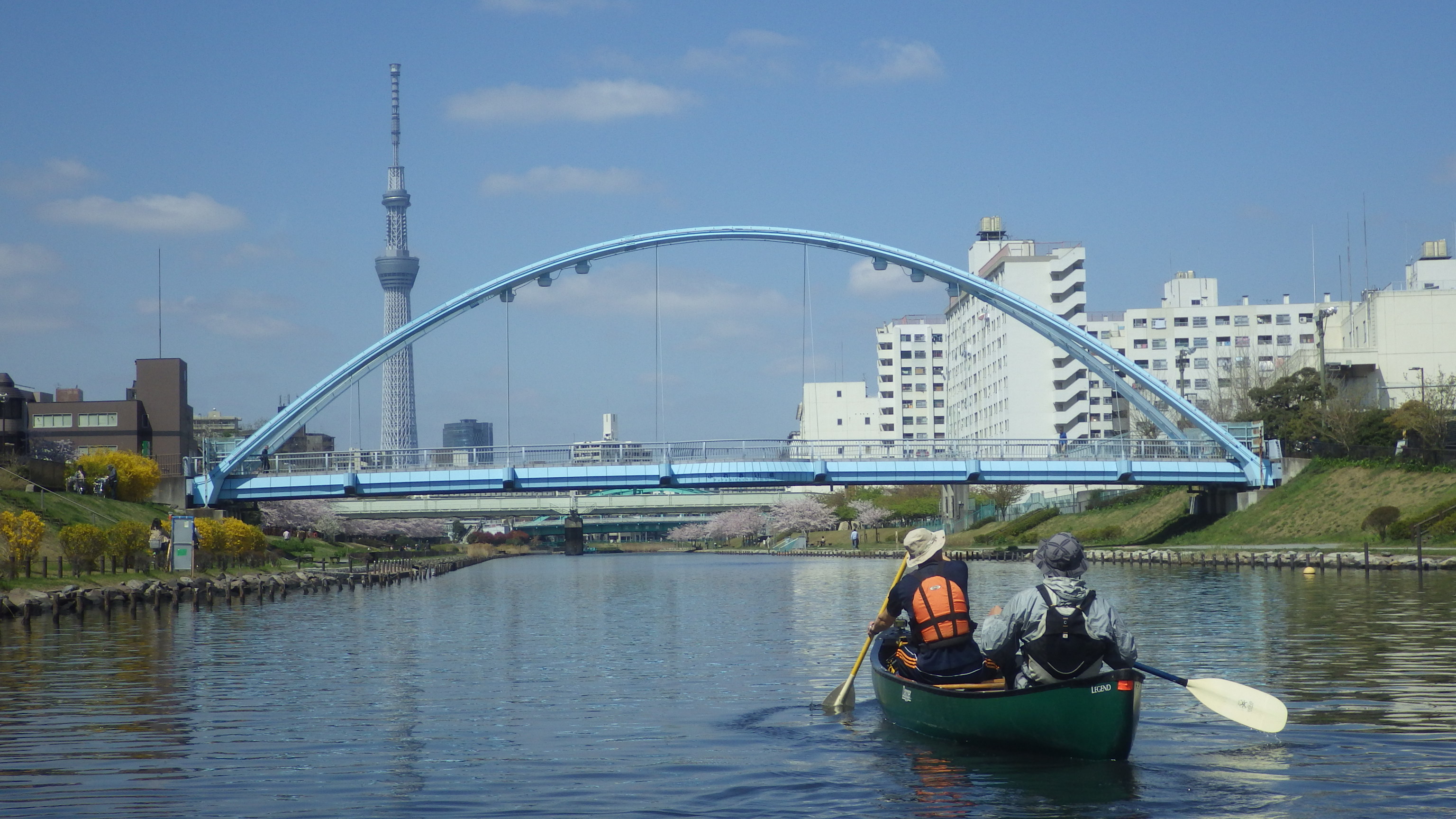 東京,花見,カヌー,スカイツリー