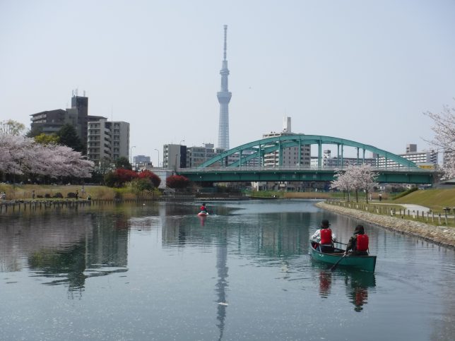 お花見sup,お花見