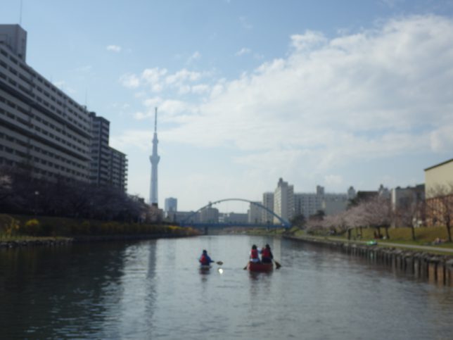 skytree,outdoor,tokyo